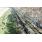 DJI_0012