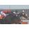 FOTO TAPA GRAN PREMIO ESTRELLAS JUVENILE FILLIES (G1) 6A CARRERA