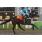 TAPA DISTAFF (G1)