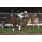 TAPA HANDICAP OVERSPEED