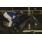 MISAEL -