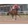 9Âº 1 Anacarsis (10)