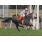 12-¦ 7 Bradock (12)