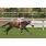 12-¦ 7 Bradock (8)
