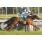GRAN PREMIO COPA DE PLATA (G1) ROBERTO VÃZQUEZ MANSILLA
