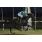 TAPA HANDICAP PICACERO