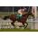 CÃ“SMICO ROMANO - CLÃSICO GENERAL PUEYRREDÃ“N (G3)