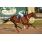 GUS_9563
