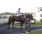 PURE NELSON (12) (Copiar)