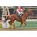 BLUE'S MELODIE - HANDICAP LUCK 