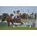 CLASICO LOS HARAS (G2)