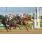 PRINCESA LAKE - CLASICO TELESCOPICO 