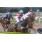 HANDICAP TREVISA 