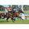 FROMM - HANDICAP JUAN ESTEBAN BIANCHI 