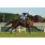 IBDÃ“MITO RONAN - HANDICAP RINGARO   (Copiar)
