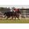_00_9669 (Copiar)