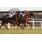 _00_9671 (Copiar)