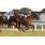 _00_9674 (Copiar)