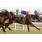 _00_9677 (Copiar)