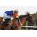 _00_9680 (Copiar)