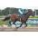 AKAN - Handicap VAL D'OR     