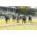 GUS_1381 (Copiar)