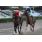 JJS_9127 (Copiar)