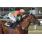 JOHN SNOW - HANDICAP CHARLES KING(Copiar)