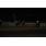 _DSC7957 (Copiar)