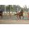 GUS_4930 (Copiar)