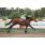 GUS_4941 (Copiar)