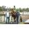 GUS_4957 (Copiar)