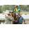 GUS_4949 (Copiar)