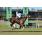 tapa handicap dia 12-10