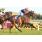 tapa jockey club dia 31-10
