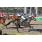 tapa handicap trevista