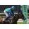 tapa handicap orpen