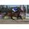tapa handicap farsalia