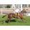 05-Â¦ 4 Lady Hussy (5)