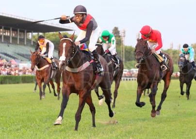 OBATAYE, DESDE BRASIL A LA GLORIA ETERNA DEL CARLOS PELLEGRINI