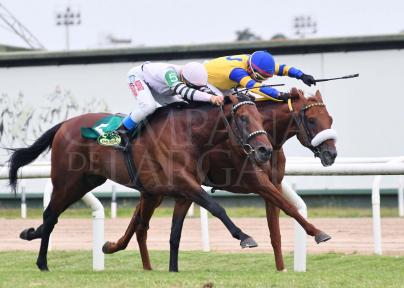 CHELATO Y PECADO ORIGINAL, DEJARON TODO EN UNA PUESTA