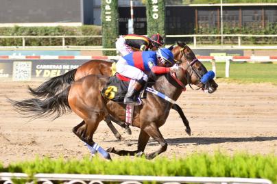 RESUMEN FIN DE SEMANA