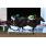 gaviotas 029
