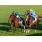 Gio Ponti deja asegundo a Get Stormy