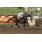 SPEECHER EMPER tapa