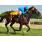 breeders5-11-11 059