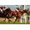 breeders5-11-11 137