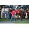 breeders5-11-11 064