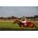 breeders5-11-11 089