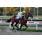 KING OF SALE10